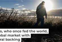 American farmers face a changing future for their businesses. Roberto Schmidt/AFP via Getty Images